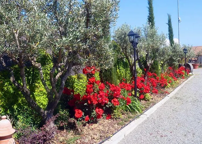 爱伯格艾琳达乡村民宿 伦德